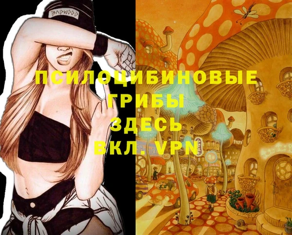 молекула духа Алексин