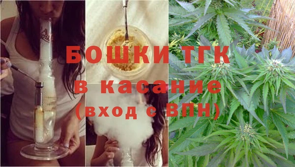 молекула духа Алексин