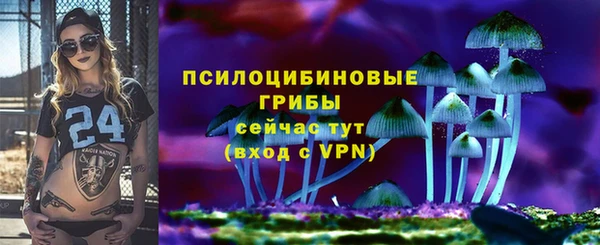 ГАЛЛЮЦИНОГЕННЫЕ ГРИБЫ Алексеевка