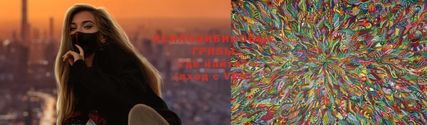 ГАЛЛЮЦИНОГЕННЫЕ ГРИБЫ Алексеевка
