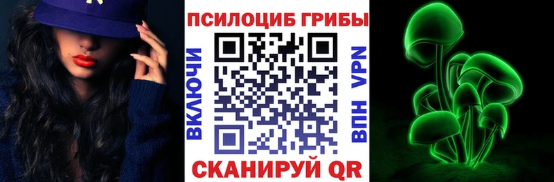 Псилоцибиновые грибы мицелий  KRAKEN вход  Каневская 