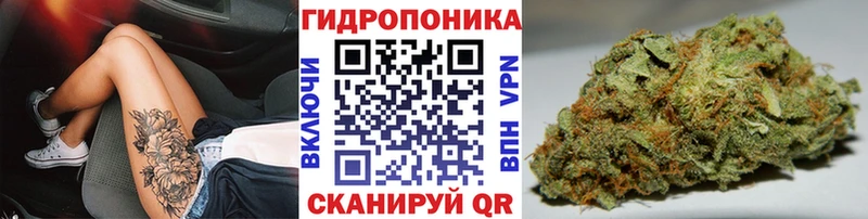 blacksprut вход  Каневская  Шишки марихуана семена 